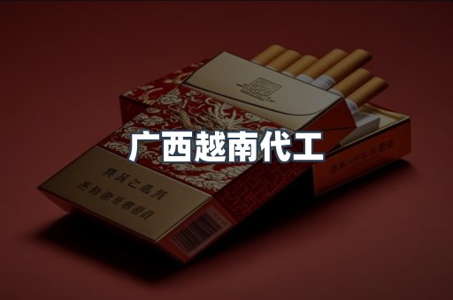 广西越南代工